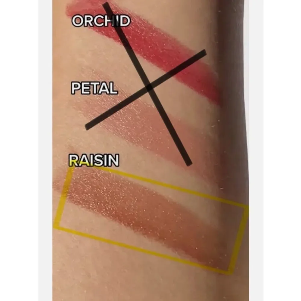 Beautycounter Sheer Genius Conditioning Lipstick 💄 Raisin